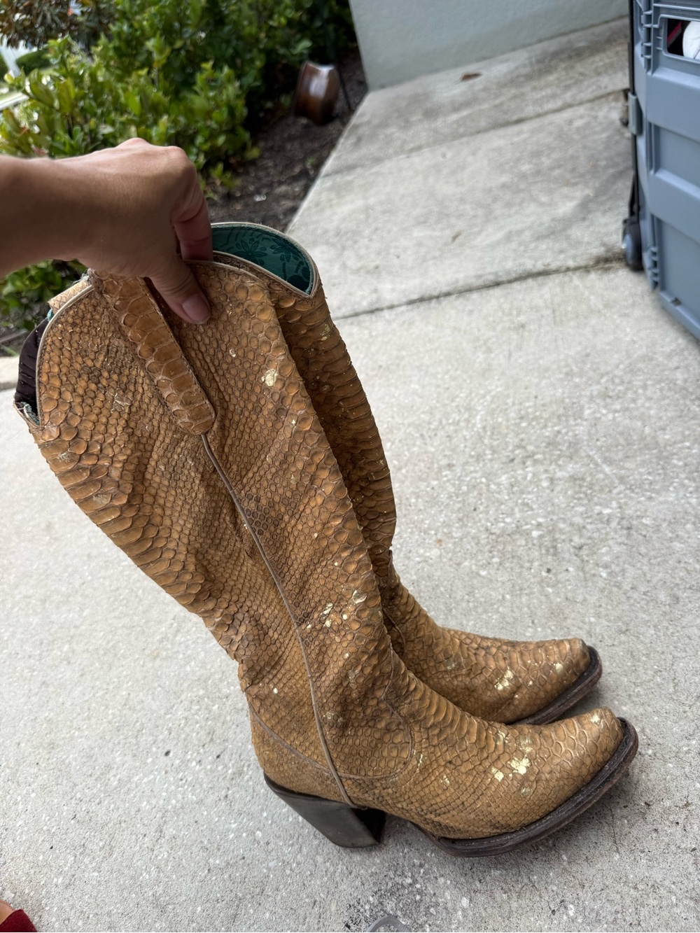 Exotic Tan Snakeskin Western Boots with Branded Heel